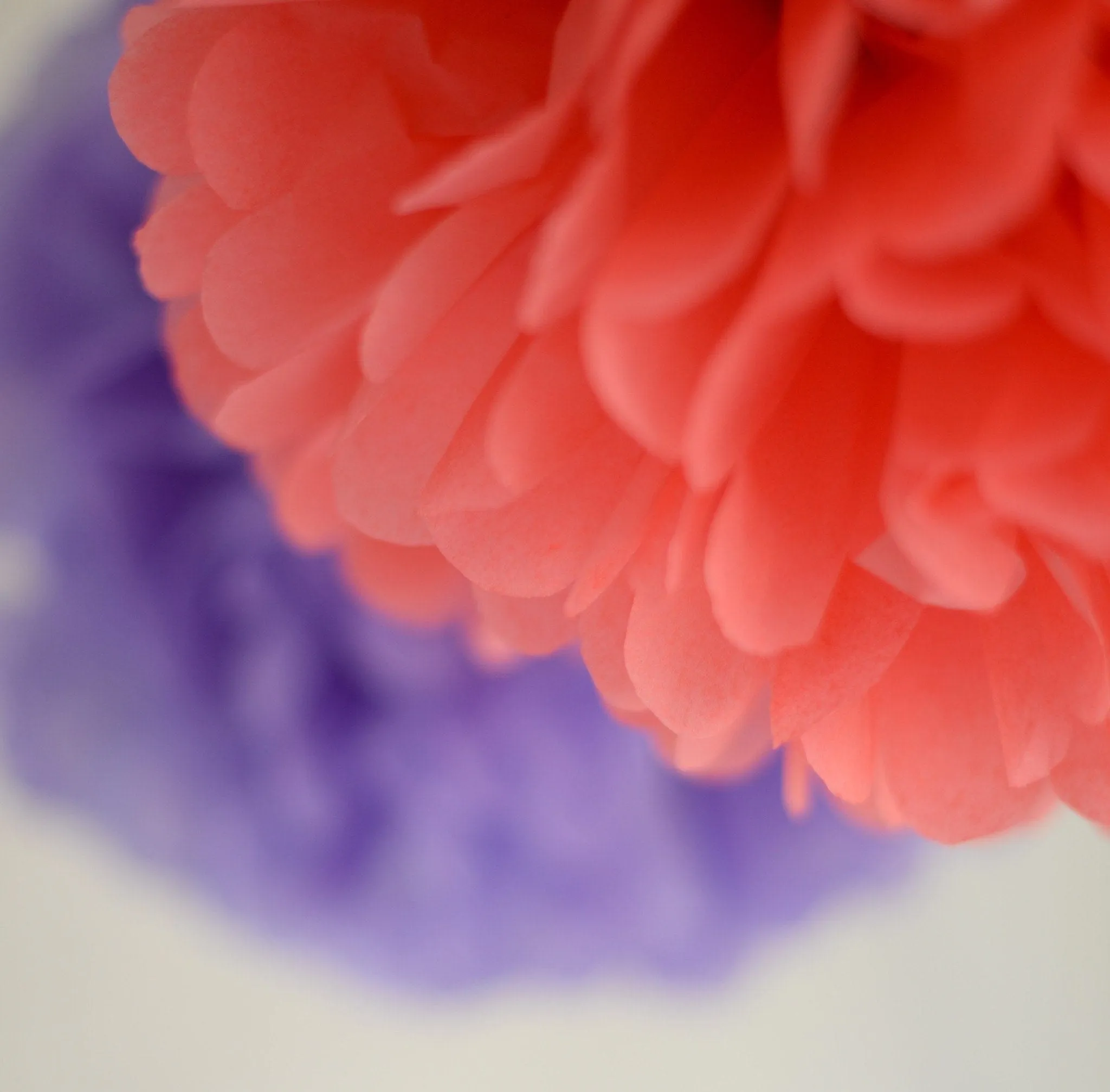 Coral, lavender and grey pom poms party set