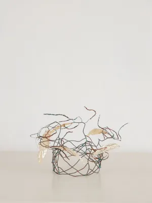 Luna Crown