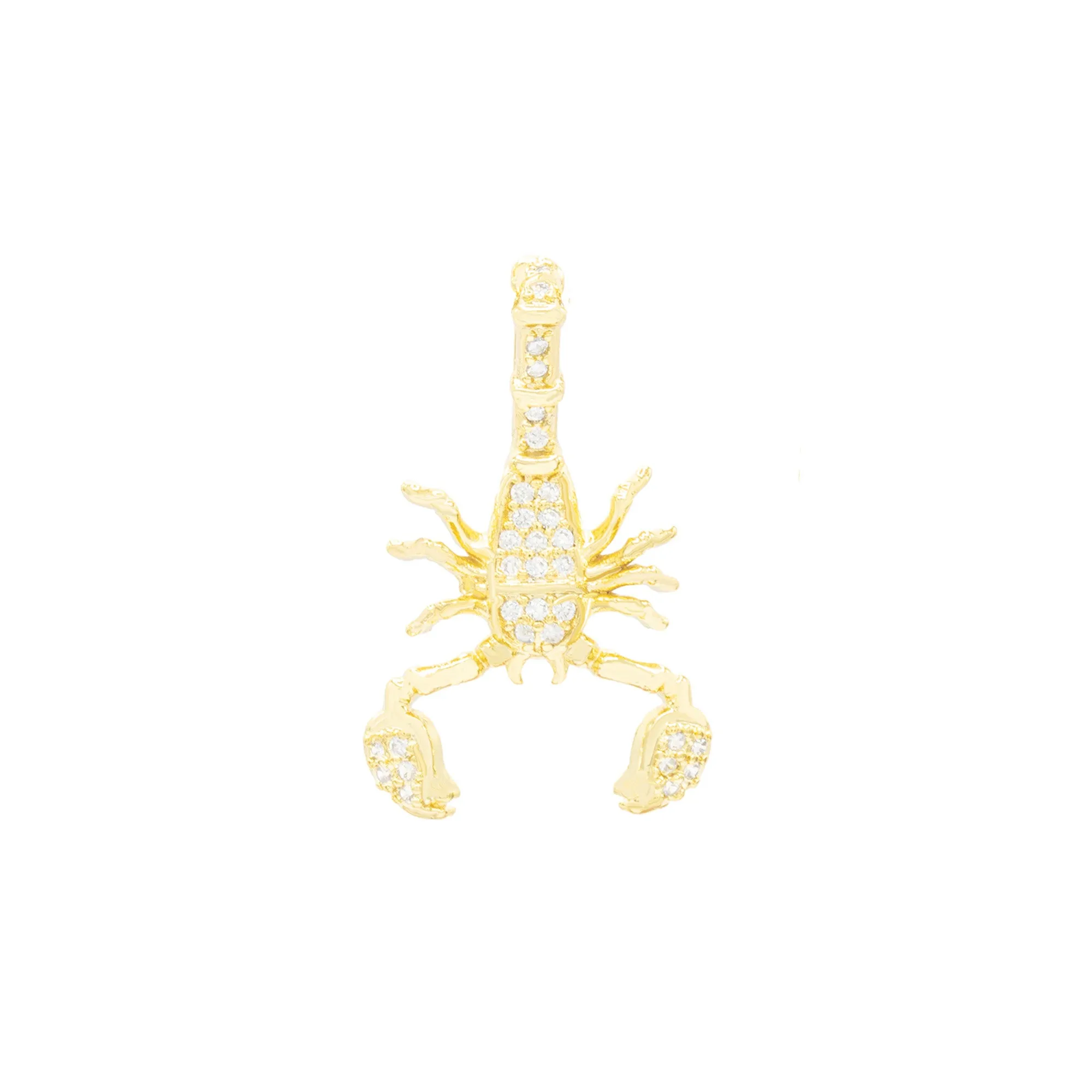 Scorpion Pendant 14K Gold Filled Cubic Zirconia Anklet 10" Set 2.5 mm Women Jewelry